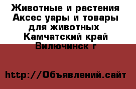 Животные и растения Аксесcуары и товары для животных. Камчатский край,Вилючинск г.